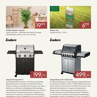 Pflanzen Kölle Prospekt Seite 3