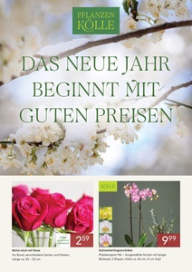 Pflanzen Kölle Prospekt - Dauerpreise Januar 2026