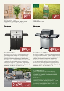 Pflanzen Kölle Prospekt - Dauerpreise Januar 2026