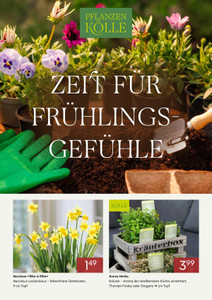 Pflanzen Kölle Prospekt - Februar 2026