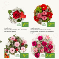 Pflanzen Kölle Prospekt Seite 3