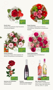 Pflanzen Kölle Prospekt - Valentinstag 2026