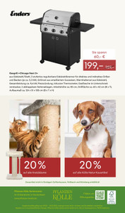 Pflanzen Kölle Prospekt - Valentinstag 2026