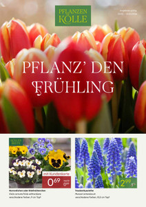 Pflanzen Kölle Prospekt - Pflanz' den Frühling