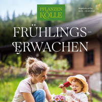 Pflanzen Kölle Prospekt - Grillen