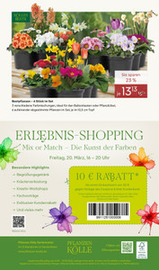 Pflanzen Kölle Prospekt - Frühlingserwachen