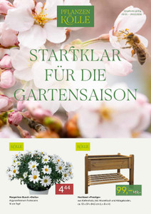 Pflanzen Kölle Prospekt - Startklar für die Gartensaison