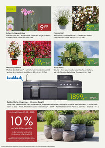 Pflanzen Kölle Prospekt - Startklar für die Gartensaison - Seite 2
