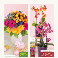 Pflanzen Kölle Prospekt Seite 3