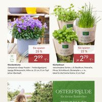Pflanzen Kölle Prospekt - Ostern