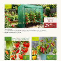 Pflanzen Kölle Prospekt - Obst & Gemüse