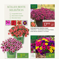 Pflanzen Kölle Prospekt Seite 2