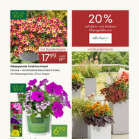 Pflanzen Kölle Prospekt Seite 3