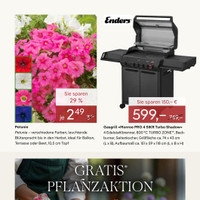 Pflanzen Kölle Prospekt - Grillen