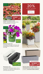 Pflanzen Kölle Prospekt - Blütenzauber für Zuhause