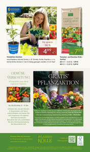 Pflanzen Kölle Prospekt - Blühende Duftoase