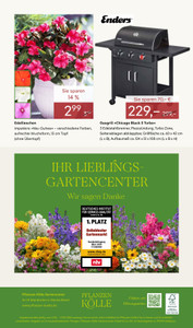 Pflanzen Kölle Prospekt - Gärtnern & Geniessen