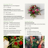 Pflanzen Kölle Prospekt - Blumen