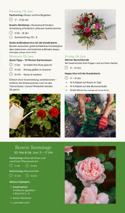 Pflanzen Kölle Prospekt - Rosen-Erlebniswochen