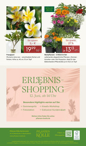 Pflanzen Kölle Prospekt - Rosen-Erlebniswochen