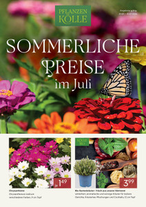 Pflanzen Kölle Prospekt - Juli 2026