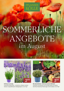 Pflanzen Kölle Prospekt - August 2026
