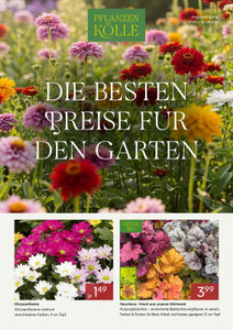 Pflanzen Kölle Prospekt - Die besten Preise für den Garten