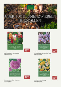Pflanzen Kölle Prospekt - Die besten Preise für den Garten