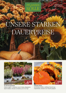Pflanzen Kölle Prospekt - Dauerpreise Oktober 2026