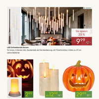 Pflanzen Kölle Prospekt - Schauriges zu Halloween Angebote