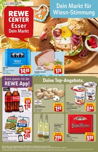 REWE Prospekt - Angebote ab 16.09.