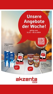 REWE Prospekt - Angebote ab 11.11.