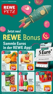 REWE Prospekt - Angebote ab 30.12.