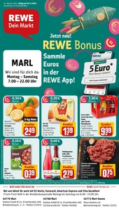 REWE Prospekt - Angebote ab 30.12.