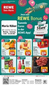 REWE Prospekt - Angebote ab 30.12.