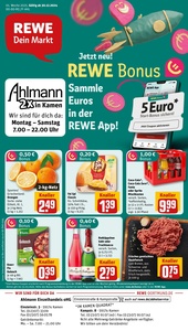 REWE Prospekt - Angebote ab 30.12.