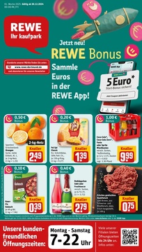 REWE Prospekt - Angebote ab 30.12.