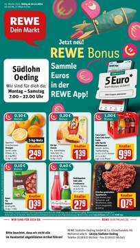 REWE Prospekt - Angebote ab 30.12.