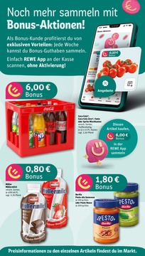 REWE Prospekt - Angebote ab 13.01.