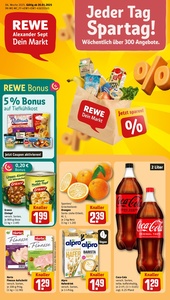 REWE Prospekt - Angebote ab 20.01.