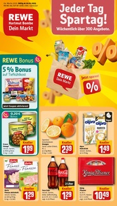 REWE Prospekt - Angebote ab 20.01.