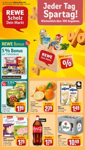 REWE Prospekt - Angebote ab 20.01.