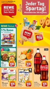 REWE Prospekt - Angebote ab 20.01.