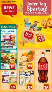 REWE Prospekt - Angebote ab 20.01.