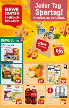 REWE Prospekt - Angebote ab 20.01.