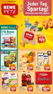 REWE Prospekt - Angebote ab 20.01.