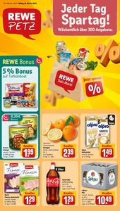 REWE Prospekt - Angebote ab 20.01.