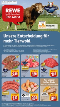 REWE Prospekt - Angebote ab 27.01.