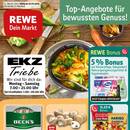 REWE Prospekt Seite 2