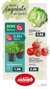 REWE Prospekt - Angebote ab 17.03.